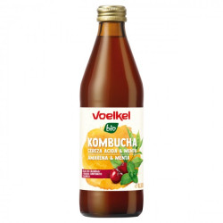 Kombucha Amarena Menta...