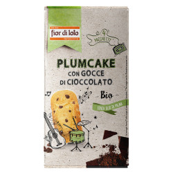 Plumcake Gocce Ciocc.4X45G
